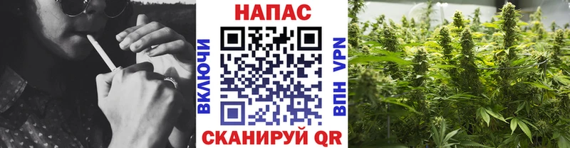Конопля White Widow  Купить закладки  Опочка 