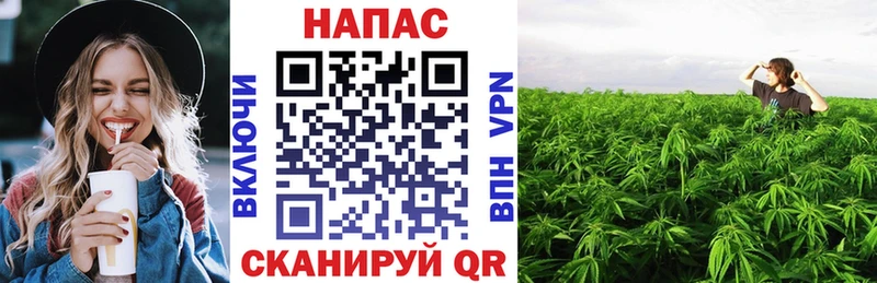 МАРИХУАНА Bruce Banner Опочка